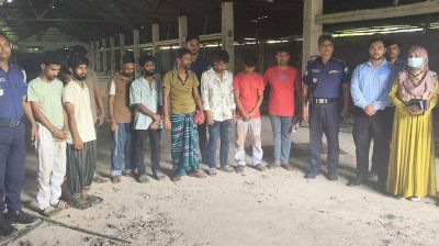 গোডাউনে একের পর এক ঘোড়া জবাই, মাংস যাচ্ছিল হোটেলে