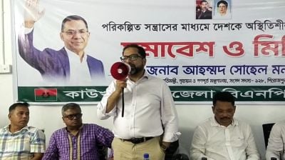 এক ভাই বিএনপি, আরেকভাই ফ্যাসিস্ট, অন্য ভাই গুপ্ত— তা চলবে না