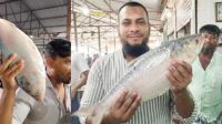 এক ইলিশের দাম ১১ হাজার টাকা