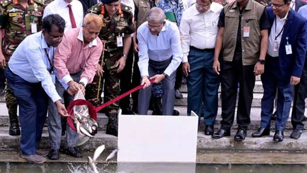 বঙ্গভবনের পুকুরে মাছের পোনা অবমুক্ত করলেন রাষ্ট্রপতি