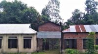 এক শিক্ষার্থীর ১৯ শিক্ষক-কর্মচারী