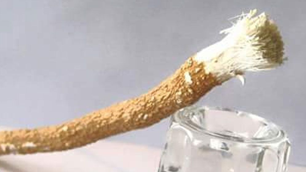 মিসওয়াক নবীজির প্রিয় সুন্নত