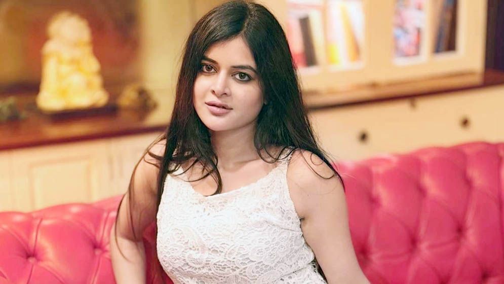 বিয়ের পর ফিরছেন পর্দায় মধুমিতা সরকার, নতুন সিরিজে জুটিবদ্ধ অর্জুন চক্রবর্তীর সঙ্গে