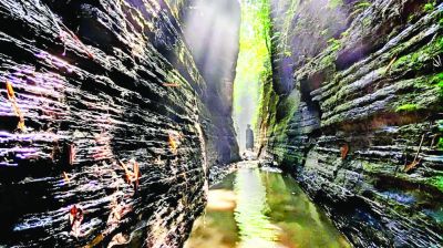 রহস্যঘেরা ‘আলী সুড়ঙ্গ’
