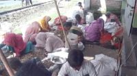পচা সুপারি এখন শিল্পের কাঁচামাল