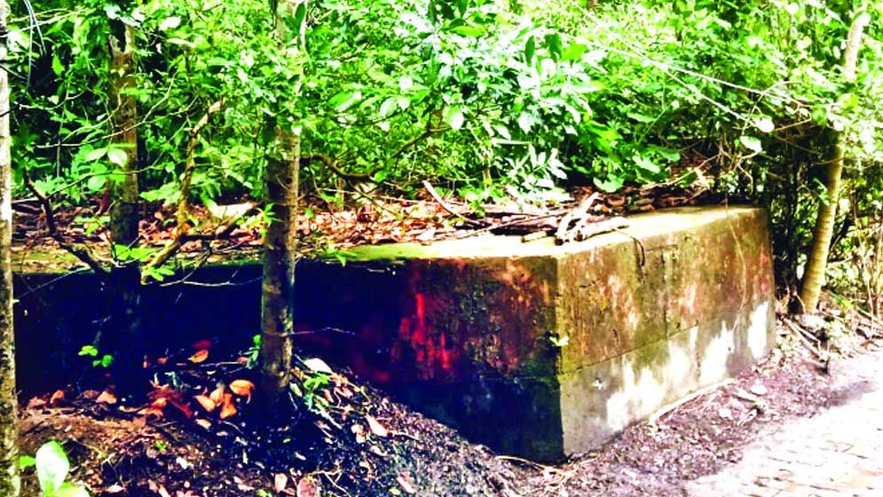 কীর্তিপাশার জঙ্গলে সতীদাহের বেদি