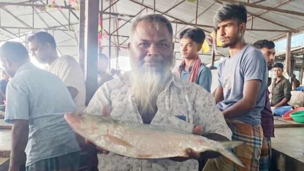 এক ইলিশের দাম ১০ হাজার টাকা