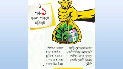 বনায়ন কাগজে, মাঠে ভিন্ন ছবি