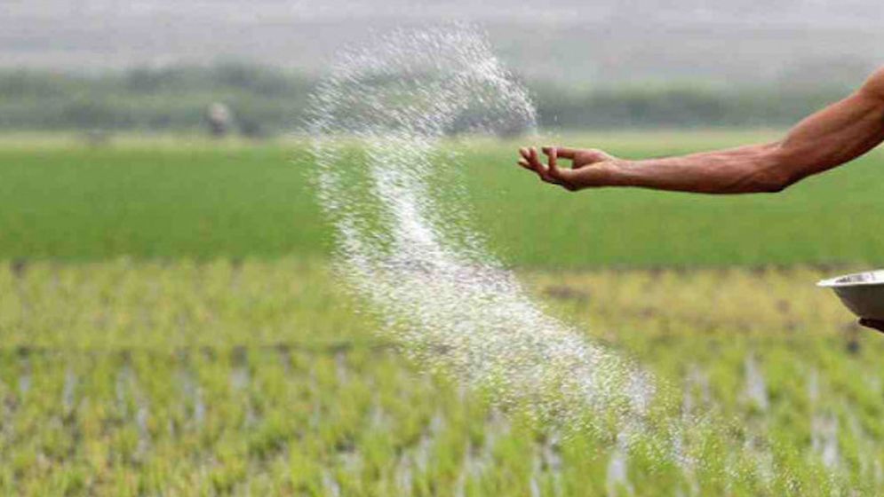 সারের ডিলার নিয়োগে অনিয়ম