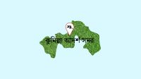মুরগির খাঁচার নিচে রাখা ছিল বিদেশি পিস্তল, ৬ রাউন্ড গুলি