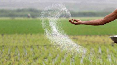 সারের ডিলার নিয়োগে অনিয়ম