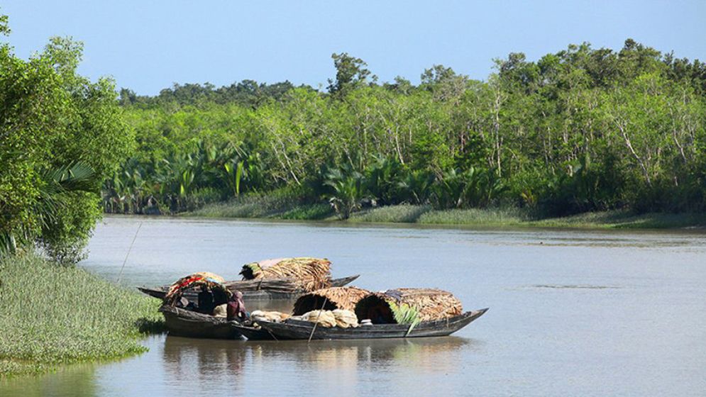 সুন্দরবনে ১৫ অপহরণ, আতঙ্কে জেলে-মহাজন