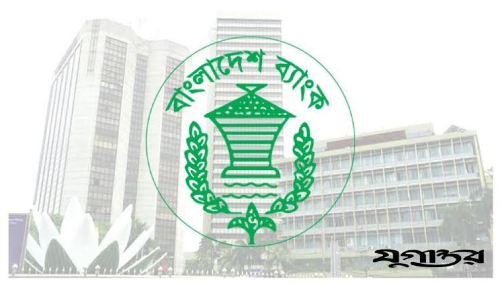বড় ঋণ গ্রাহকরাই বেশি খেলাপি