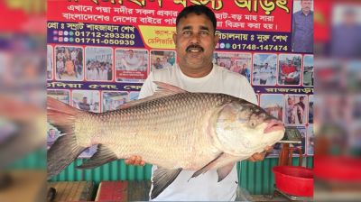 পদ্মায় জেলের জালে ২২ কেজির কাতলা, ৫৭ হাজার টাকায় বিক্রি
