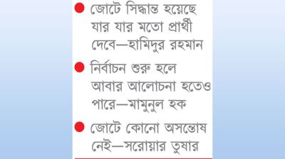 স্থানীয় নির্বাচন নিয়ে ১১ দলে টানাপোড়েন