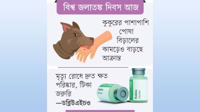 প্রাণীর কামড় নিয়ে দিনে আসছেন ১২শ রোগী