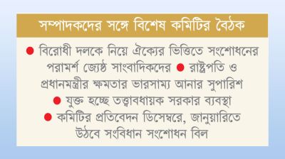 আবারও গণভোটের ভাবনা