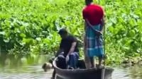 তিতাসে অজ্ঞাত ব্যক্তির ভাসমান লাশ উদ্ধার