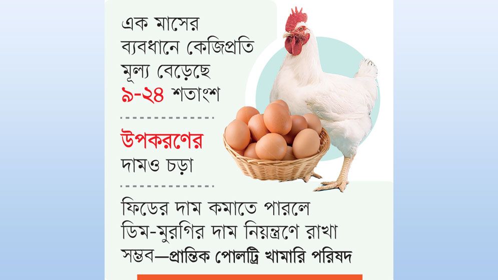 ফিডের দাম বাড়ায় বন্ধের পথে খামার