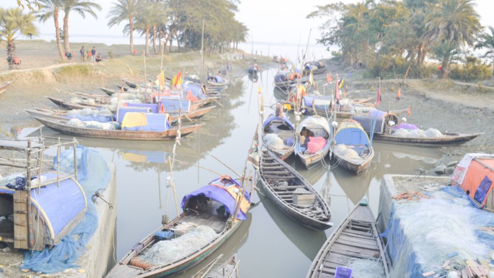 মা ইলিশ রক্ষার নিষেধাজ্ঞা অভিযান বাস্তবায়ন নিয়ে শঙ্কা