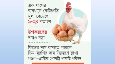 ফিডের দাম বাড়ায় বন্ধের পথে খামার
