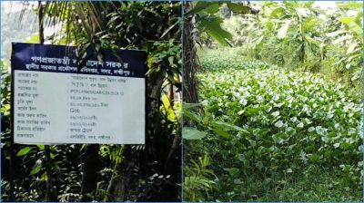 খাল খনন না করেই ৩০ লাখ টাকার বিল!