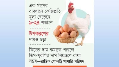 ফিডের দাম বাড়ায় বন্ধের পথে খামার