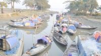 মা ইলিশ রক্ষার অভিযান শুরু, নেতৃত্বহীন দশমিনা মৎস্য দপ্তর