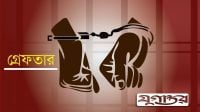 চাচিকে ধর্ষণের অভিযোগে ভাতিজা গ্রেফতার