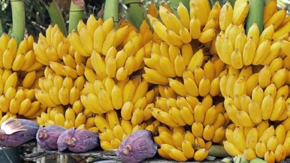 কলা কখন খেলে শরীরের জন্য উপকার