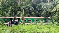 লাউয়াছড়া বনে বিচ্ছিন্ন সাত বগি, বাকি অংশ নিয়ে শ্রীমঙ্গলে ট্রেন