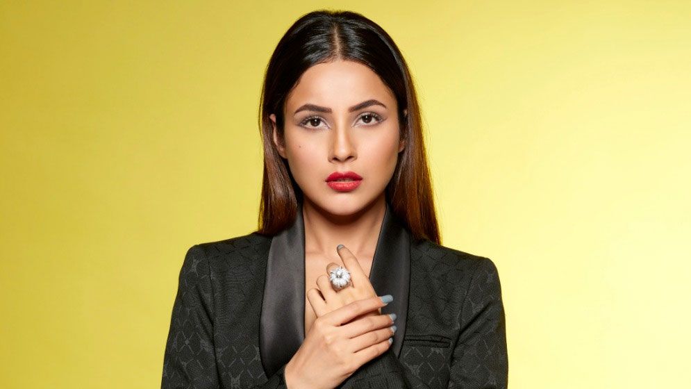 মজার উদাহরণ টেনে যে কথা বললেন শেহনাজ গিল