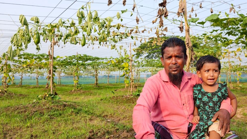 ঋণের টাকায় লাউ চাষ, এক রাতেই সর্বস্বান্ত কৃষক
