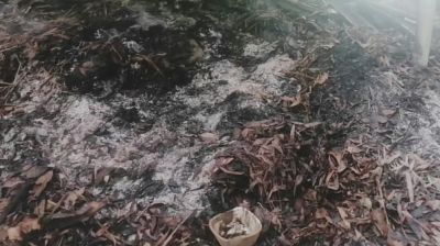 ‘মাদক কারবারির বাড়ি জ্বালিয়ে দেওয়া হোক’ পোস্ট, পরে নিজের বাড়িতেই আগুন