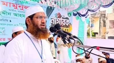বাঙালিরে হাইকোর্ট দেখানোর চেষ্টা কইরেন না: মামুনুল হক