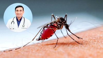 ডেঙ্গু মানেই প্লেটলেট আতঙ্ক নয়, যে লক্ষণগুলো বাঁচাতে পারে জীবন