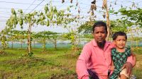 ঋণের টাকায় লাউ চাষ, এক রাতেই সর্বস্বান্ত কৃষক