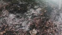 ‘মাদক কারবারির বাড়ি জ্বালিয়ে দেওয়া হোক’ পোস্ট, পরে নিজের বাড়িতেই আগুন