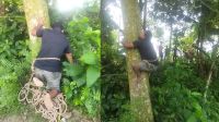 ৩০ বছর ধরে গাছ ছাঁটাই করে সংসার চালাচ্ছেন প্রতিবন্ধী কামাল