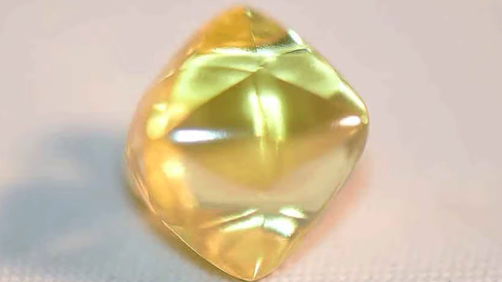 মাটি খুঁড়ে মিলল মস্ত বড় হীরা
