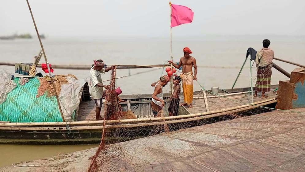 ভরা মৌসুমে পদ্মায় ইলিশের আকাল, জেলেদের মাথায় হাত