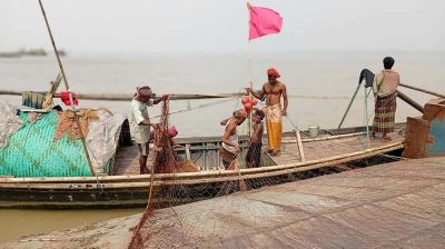 ভরা মৌসুমে পদ্মায় ইলিশের আকাল, জেলেদের মাথায় হাত