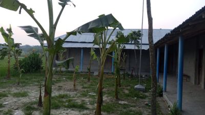 পুত্রবধূকে চাকরি না দেওয়ায় স্কুলের মাঠে কলাগাছ লাগালেন দাতা সদস্য