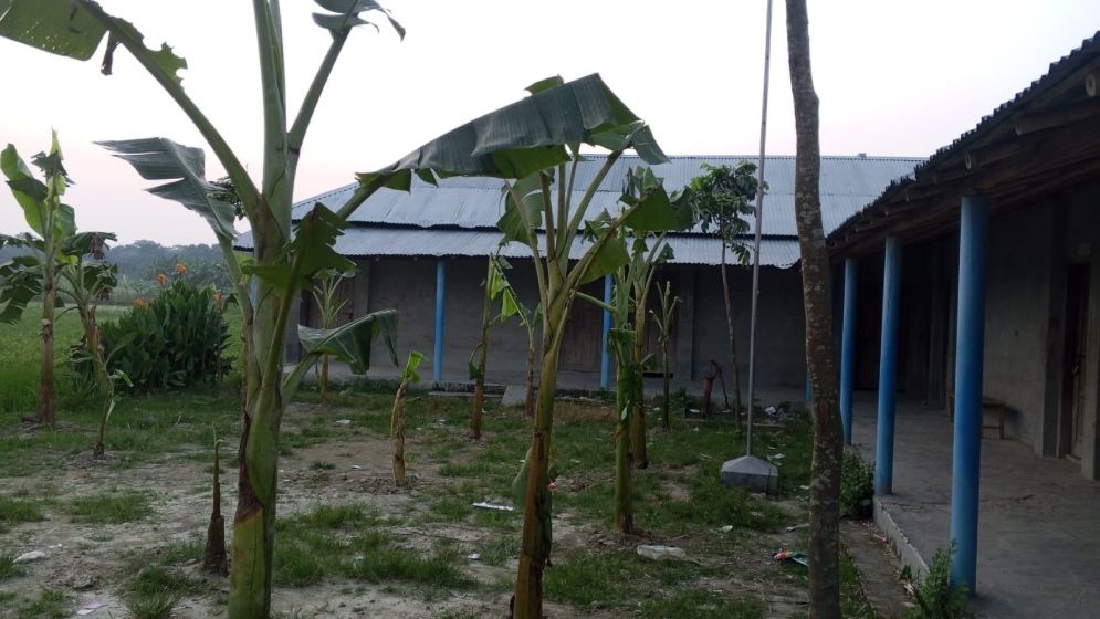 পুত্রবধূকে চাকরি না দেওয়ায় স্কুলের মাঠে কলাগাছ লাগালেন দাতা সদস্য