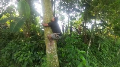 হাঁটতে পারেন না তবুও গাছ বেয়ে চলে জীবিকা