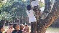 গাছে গাছে ঝুলছে মুগ্ধের সচেতনতার বাণী