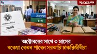 অক্টোবরের বেতনের সাথে ৩ মাসের বকেয়া পাবেন সরকারি চাকরিজীবীরা