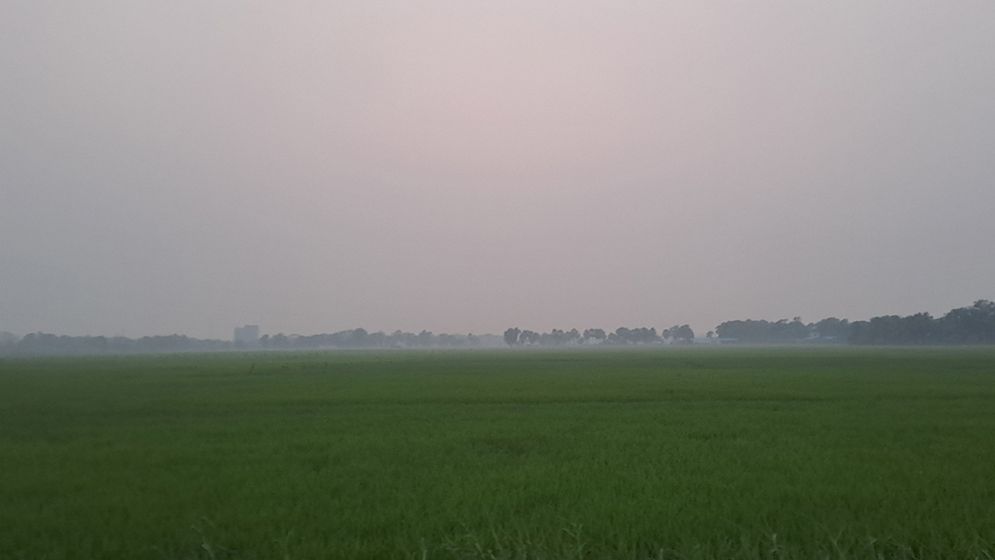 শীতের আগমনী বার্তা, বিকালেই কুয়াশার চাদরে ঢাকছে ফসলি মাঠ