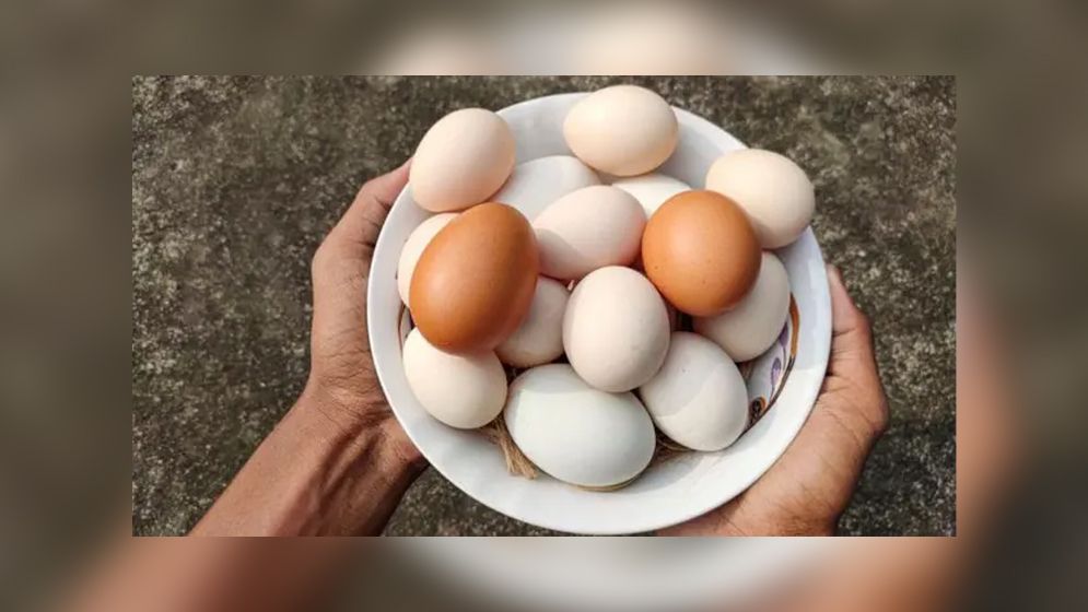 দেশি না ব্রয়লার মুরগির ডিম ভালো