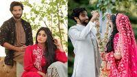 পাঁচ বছরের প্রেম, বিয়ের ৪ বছরেই কেন ভাঙল সংসার?